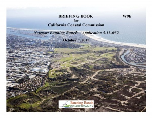 Briefing Book Oct 7-2015 cover