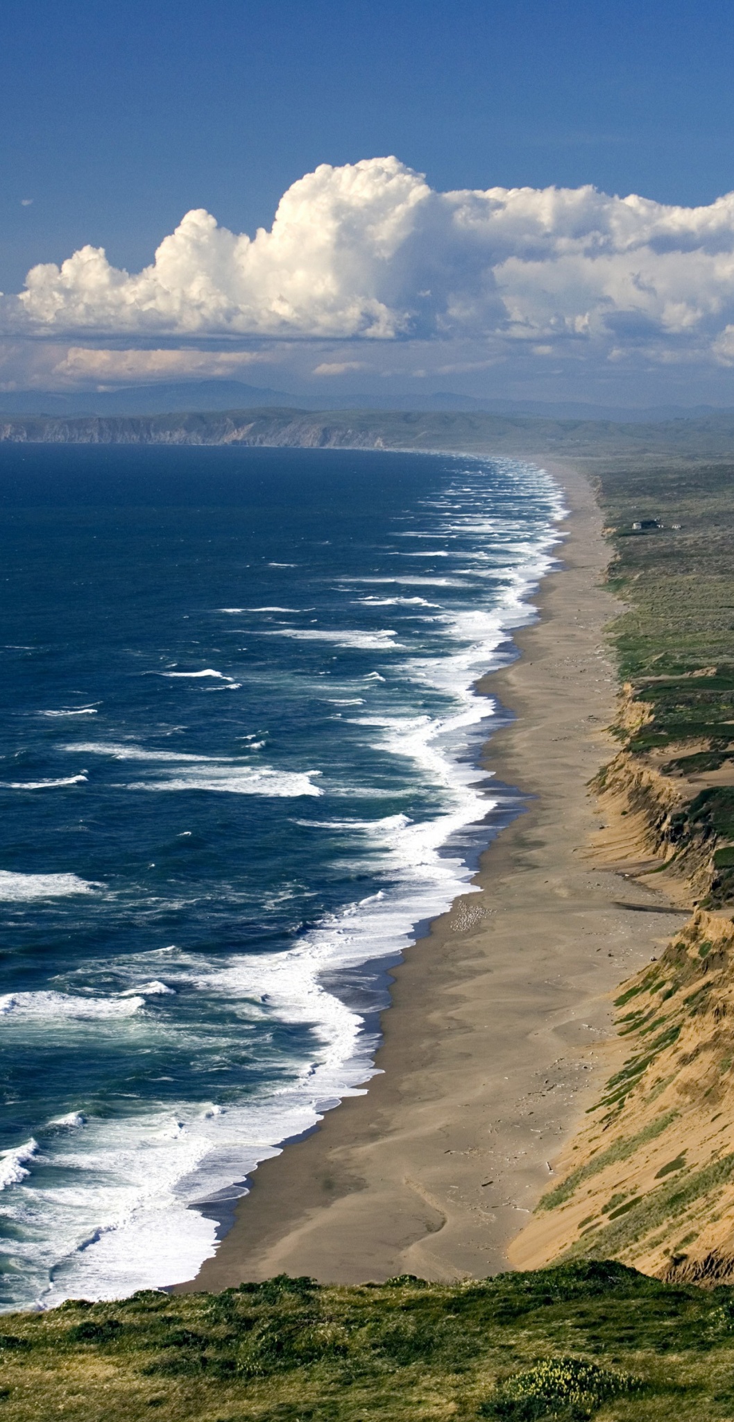 Point-Reyes-WALE-Cover_c
