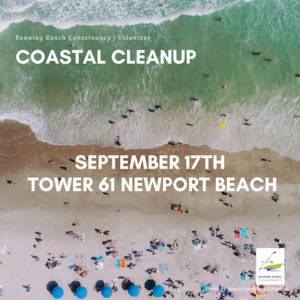 BRC coastal cleanup day at Tower 61, Newport Beach