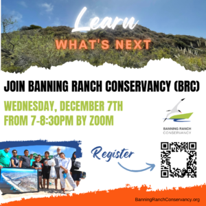 An image describing a December 7th 2022 7-8:30 PM Zoom on What's Next for the Banning Ranch Conservancy.