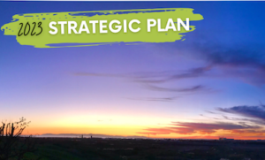 BRC Strategic Plan for 2023.